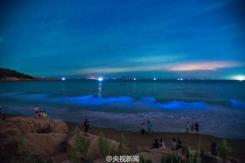 幻想纹章2.0